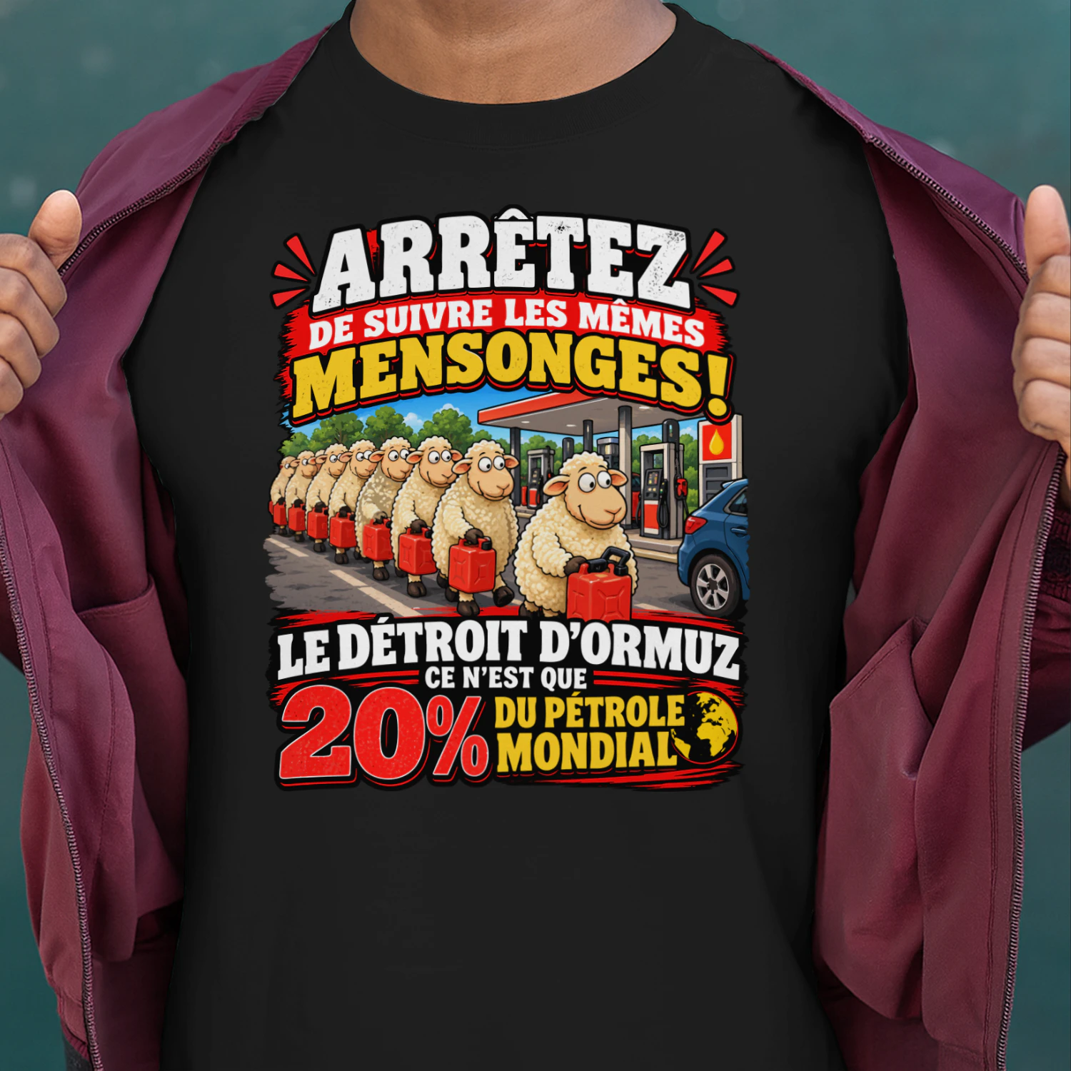 ARRÊTEZ DE SUIVRE LES MÊMES MENSONGES! DÉTROIT D'ORMUZ