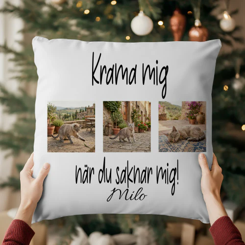 Krama mig när du saknar mig! Copy