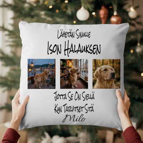 Lähetän Sinulle Ison Halauksen Jotta Se On Siellä Kun Tarvitset Sitä