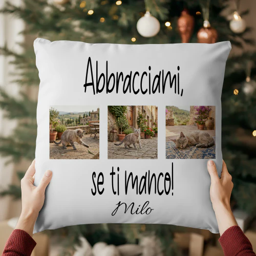 Abbracciami, se ti manco! Copy