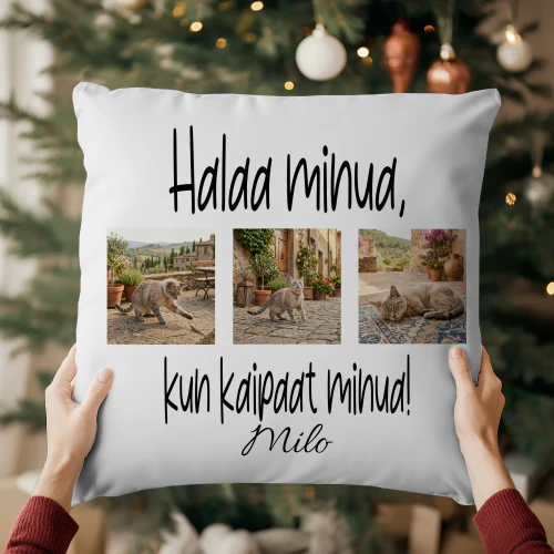 Halaa minua, kun kaipaat minua! Copy