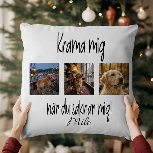 Krama mig när du saknar mig!