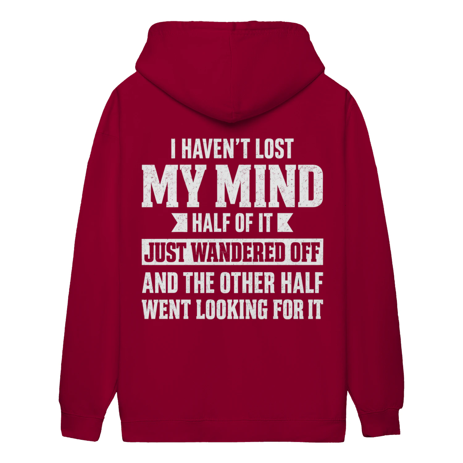 I Haven't Lost My Mind Funny Quote - Distressed Sarcastic Graphic