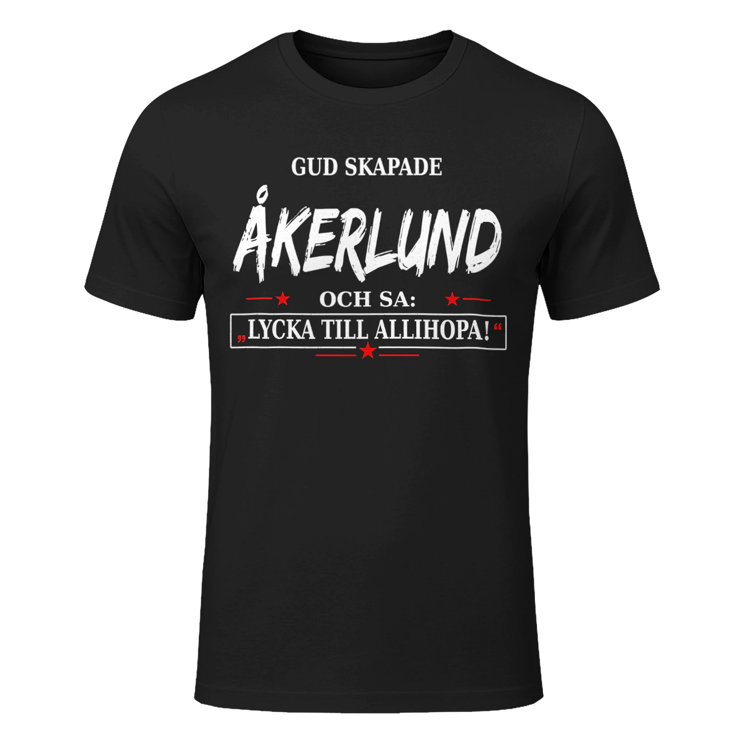 T1SD0244 åkerlund SA31