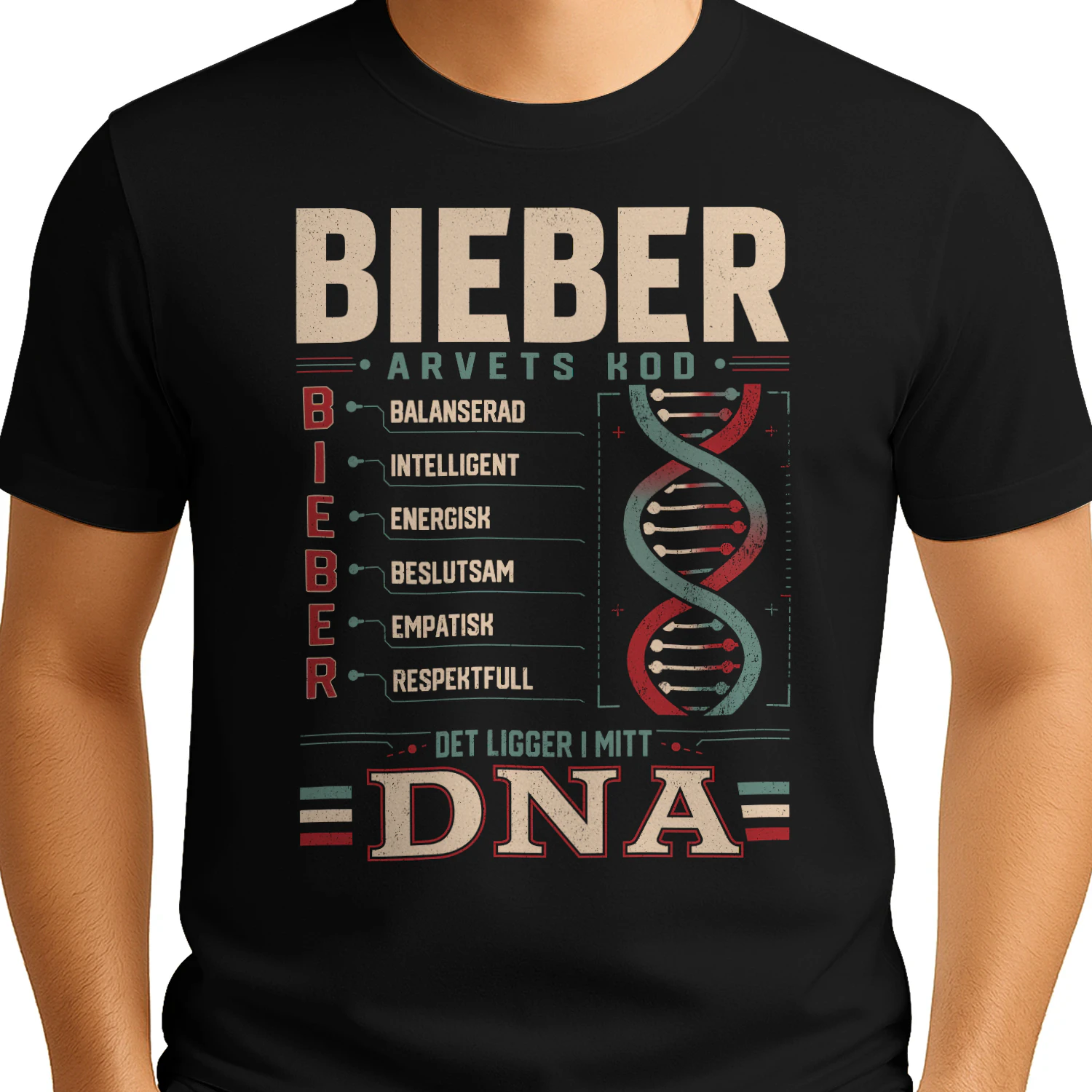 T1SD0317 Bieber SA29