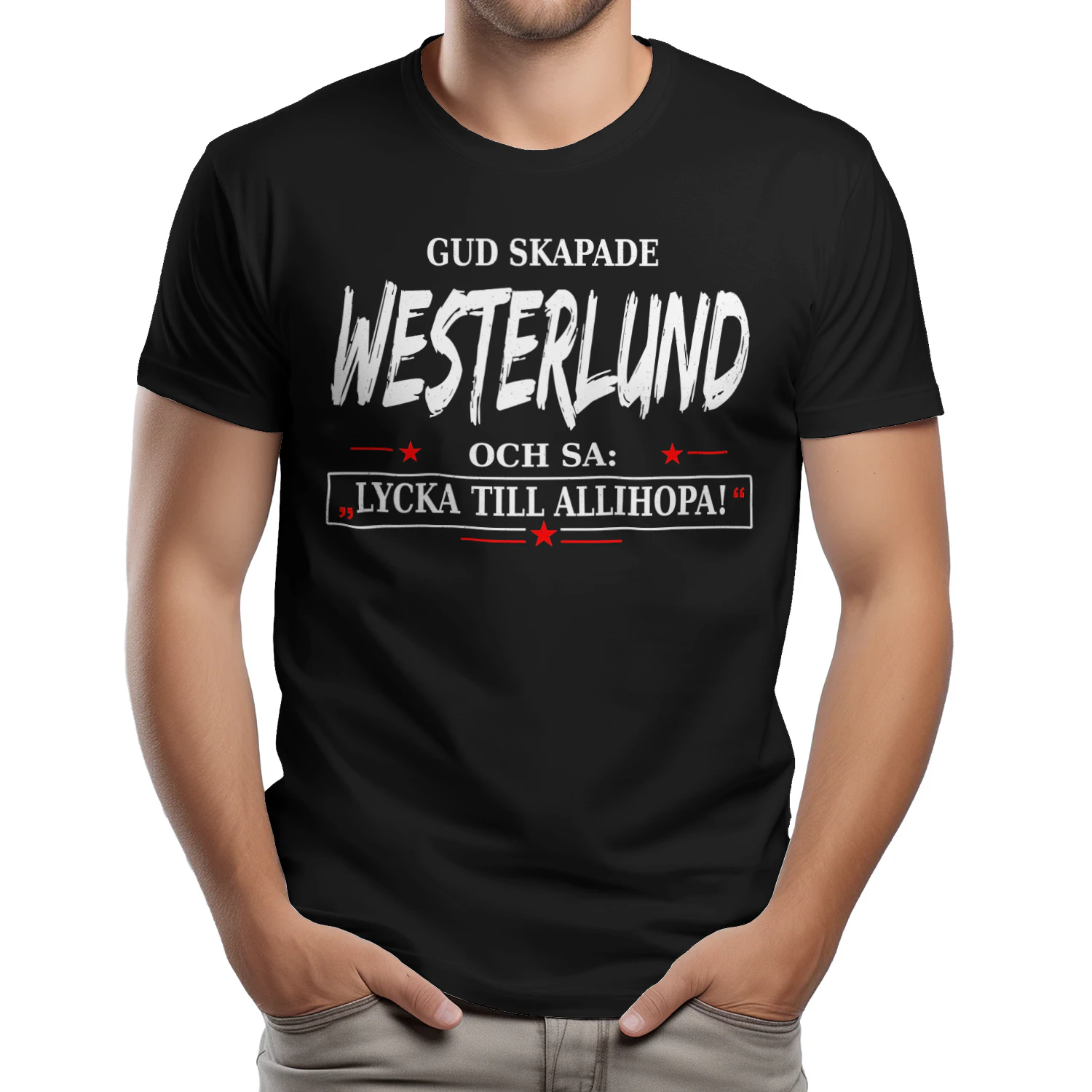 T1SD0134 Westerlund SA31