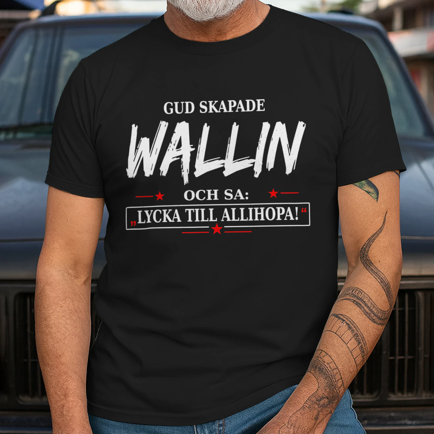 T1SD0034 Wallin SA31
