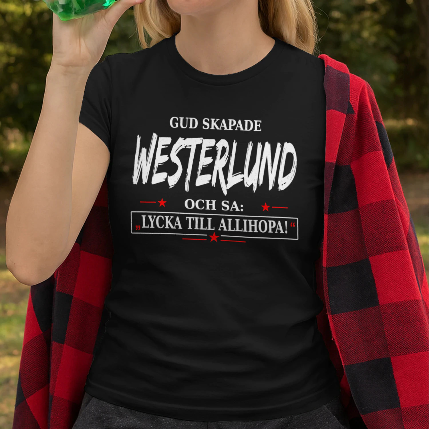 T1SD0134 Westerlund SA31