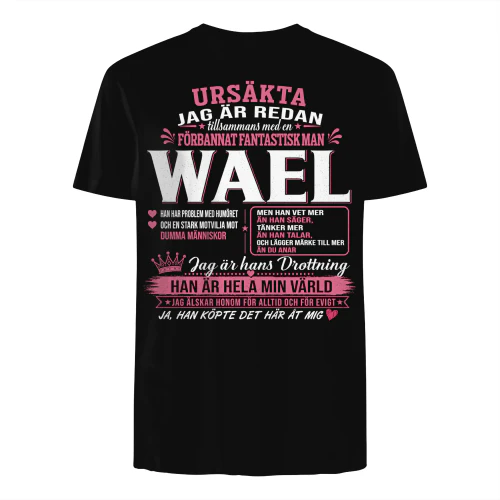 fnsem0718 Wael MSA30