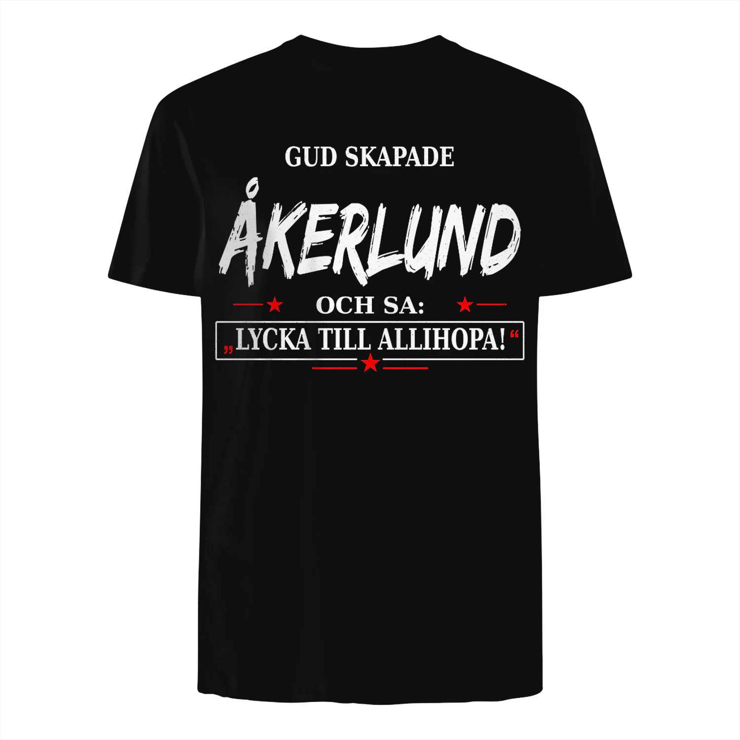 T1SD0244 åkerlund SA31