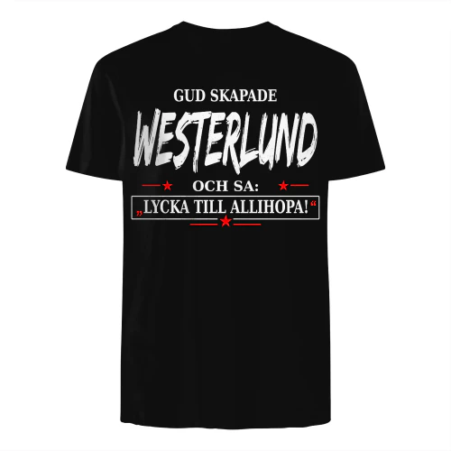 T1SD0134 Westerlund SA31