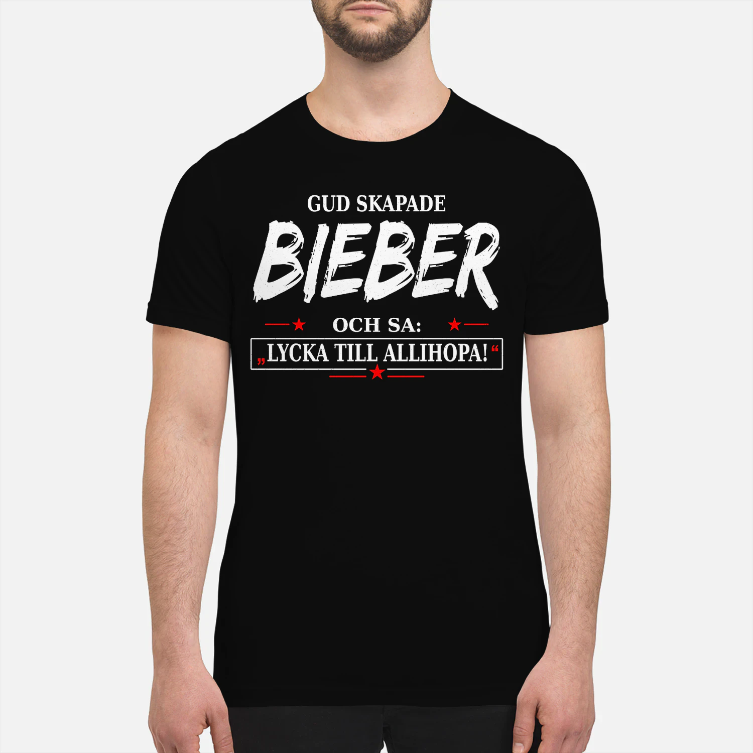 T1SD0317 Bieber SA31