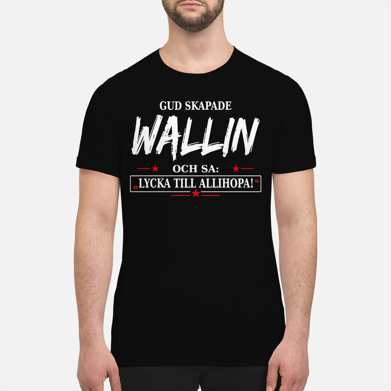 T1SD0034 Wallin SA31