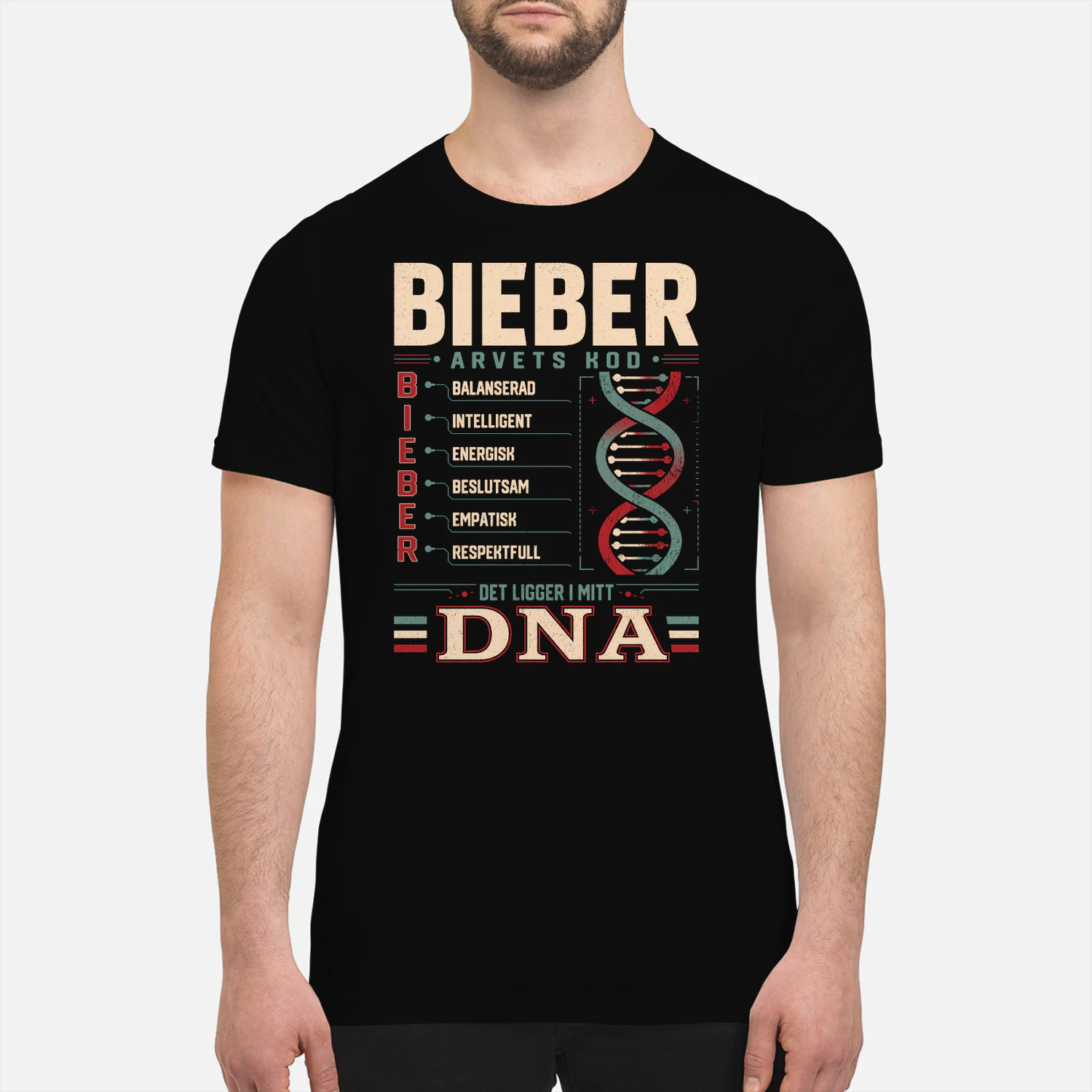 T1SD0317 Bieber SA29
