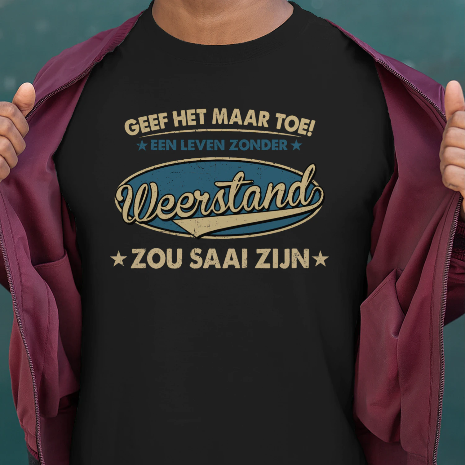 weerstand-cne016-cne03737