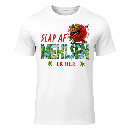 mehlsen-fdk173-fdk0937