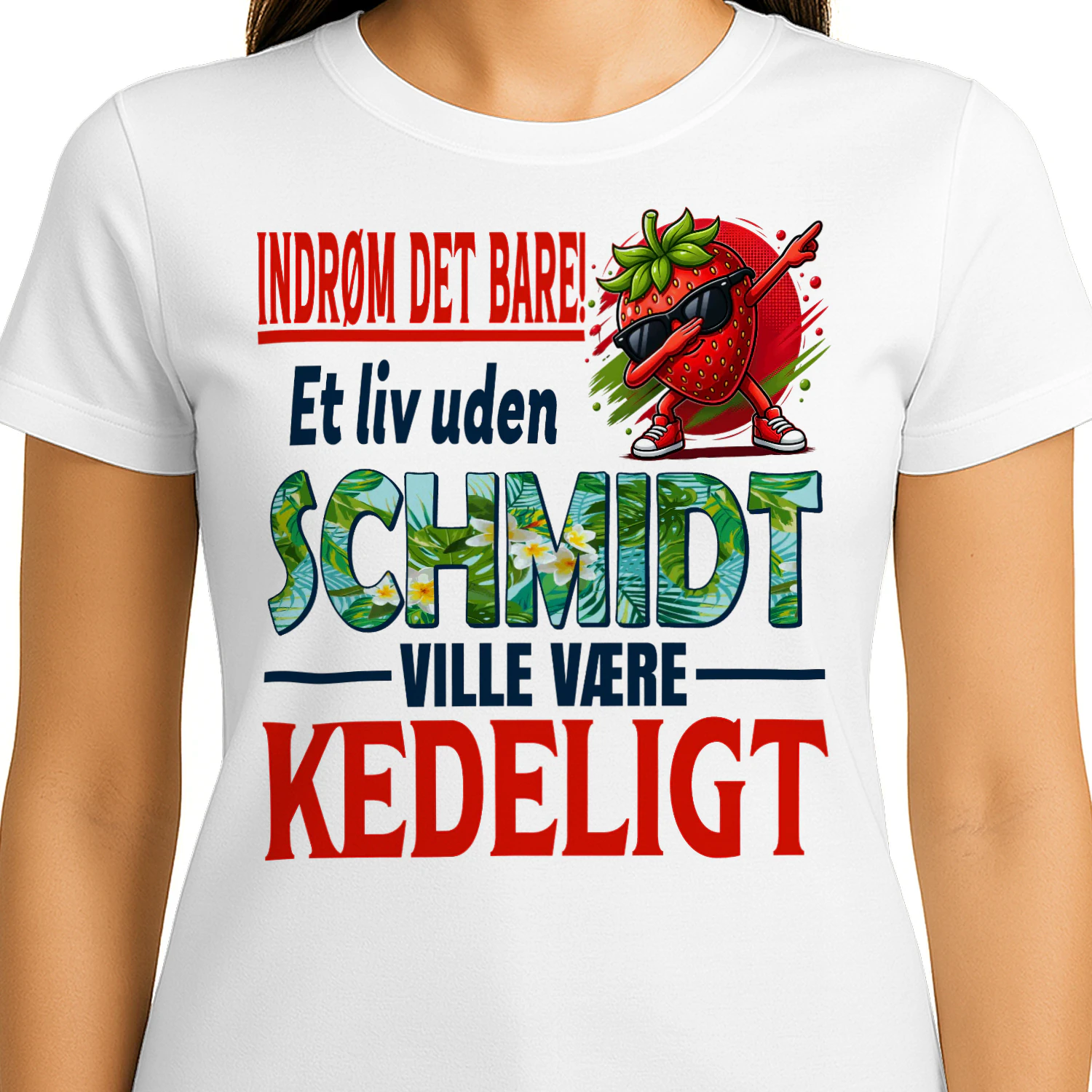 schmidt-fdk170-fdk0031