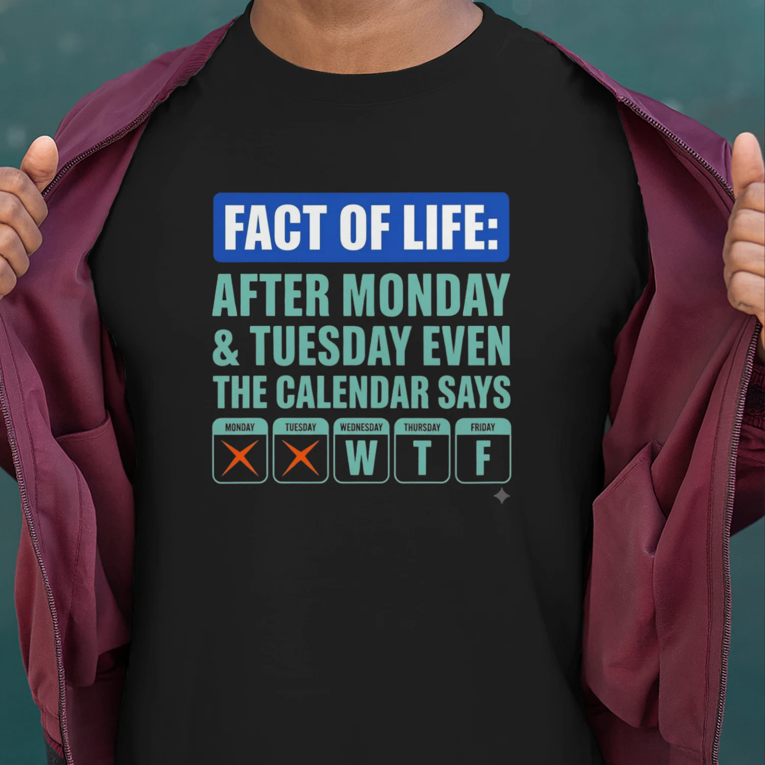 Fact of Life: After Monday & Tuesday Even the Calendar Says WTF Funny Graphic T-Shirt