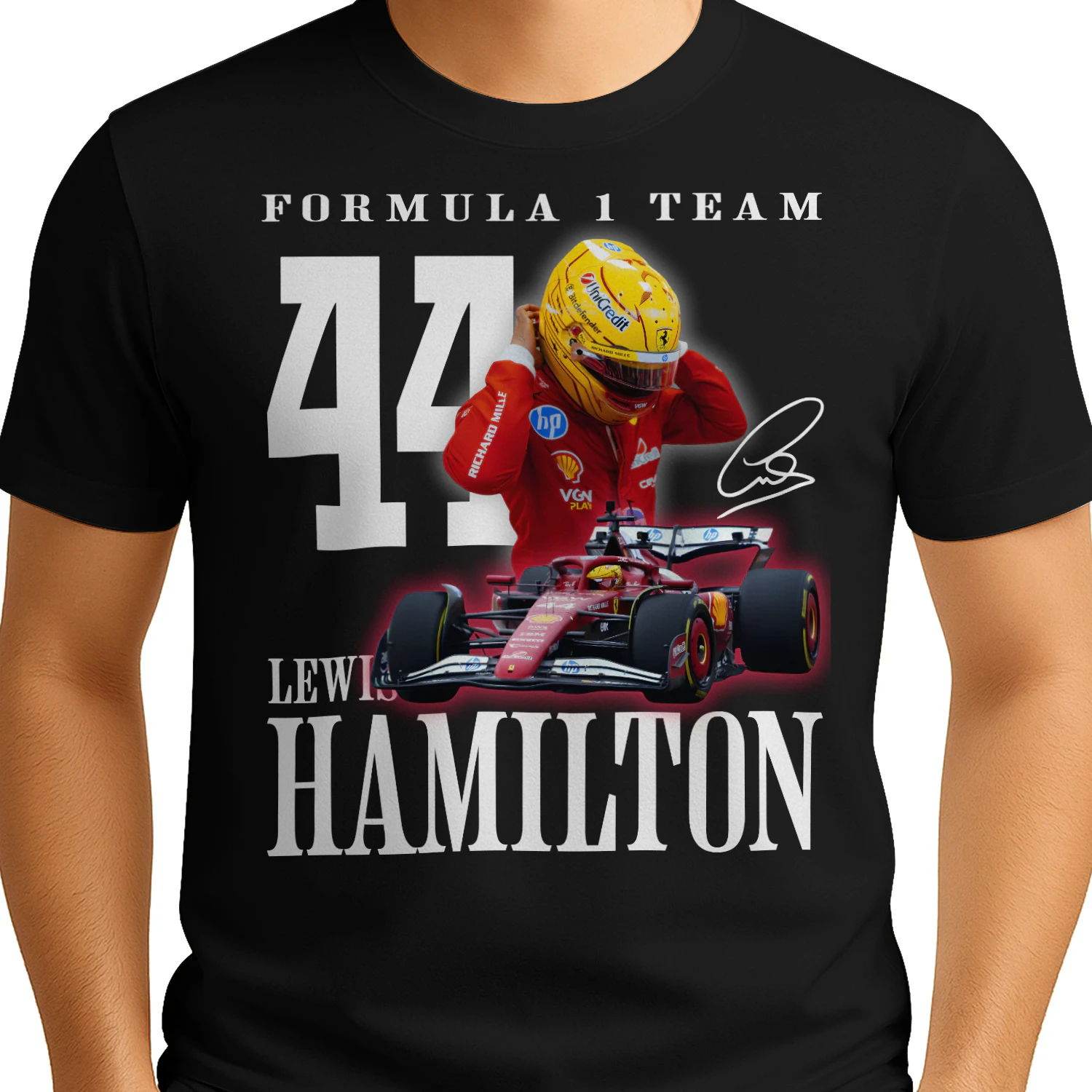 Formula 1 Lewis Hamilton 44 F1