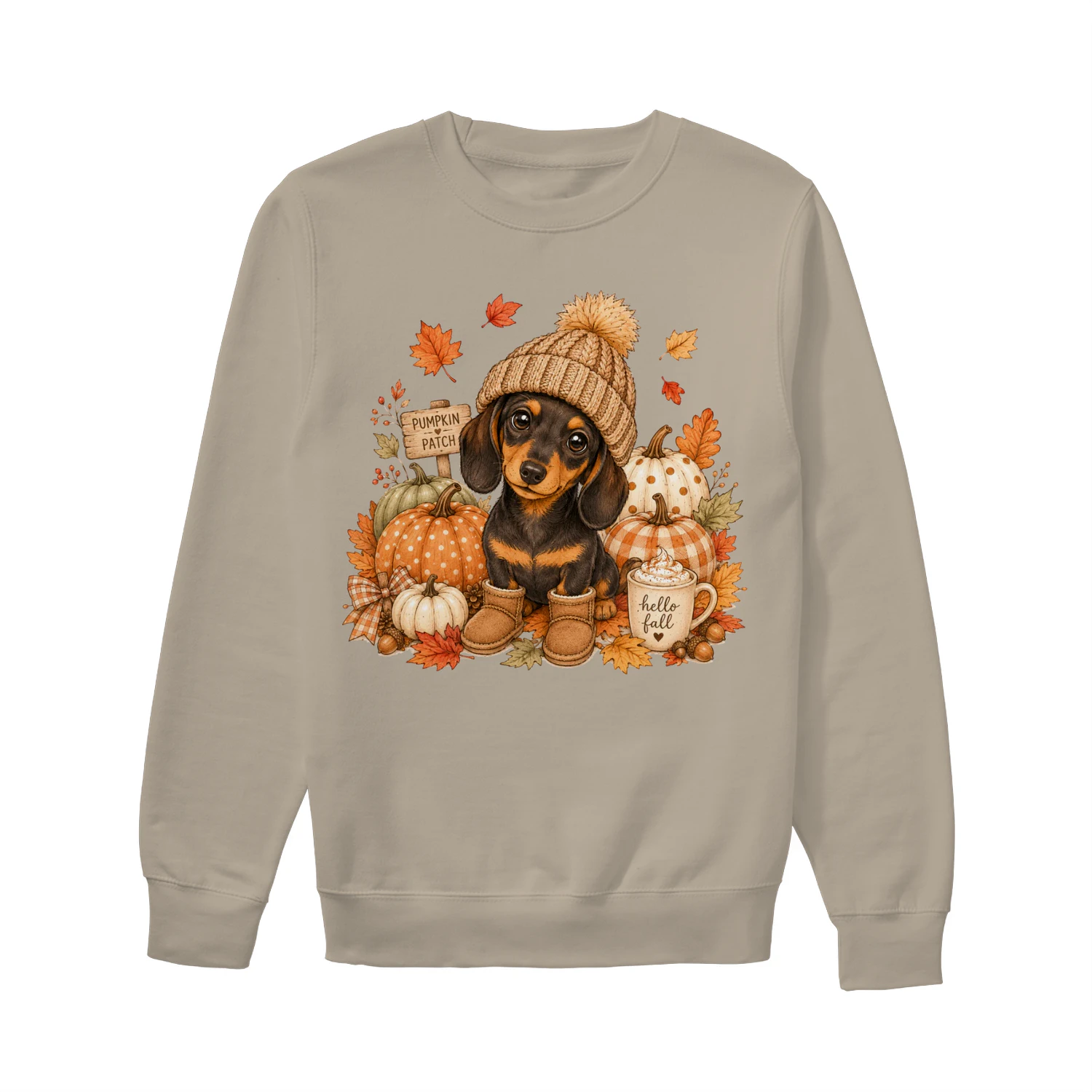 Fall Pumpkin Patch Dachshund Sweatshirt 🍂🐶🎃