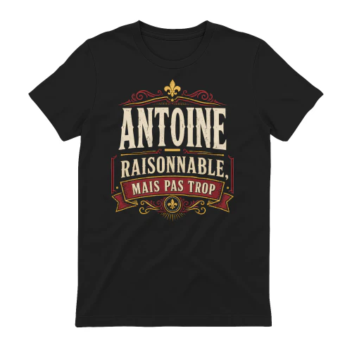 antoine-vic27-17