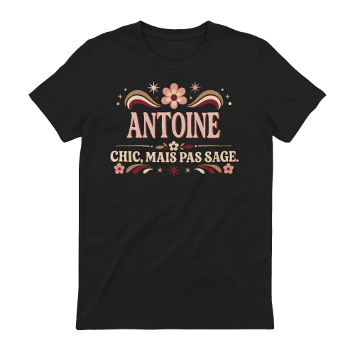 antoine-vic37-17