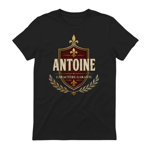 antoine-vic31-17