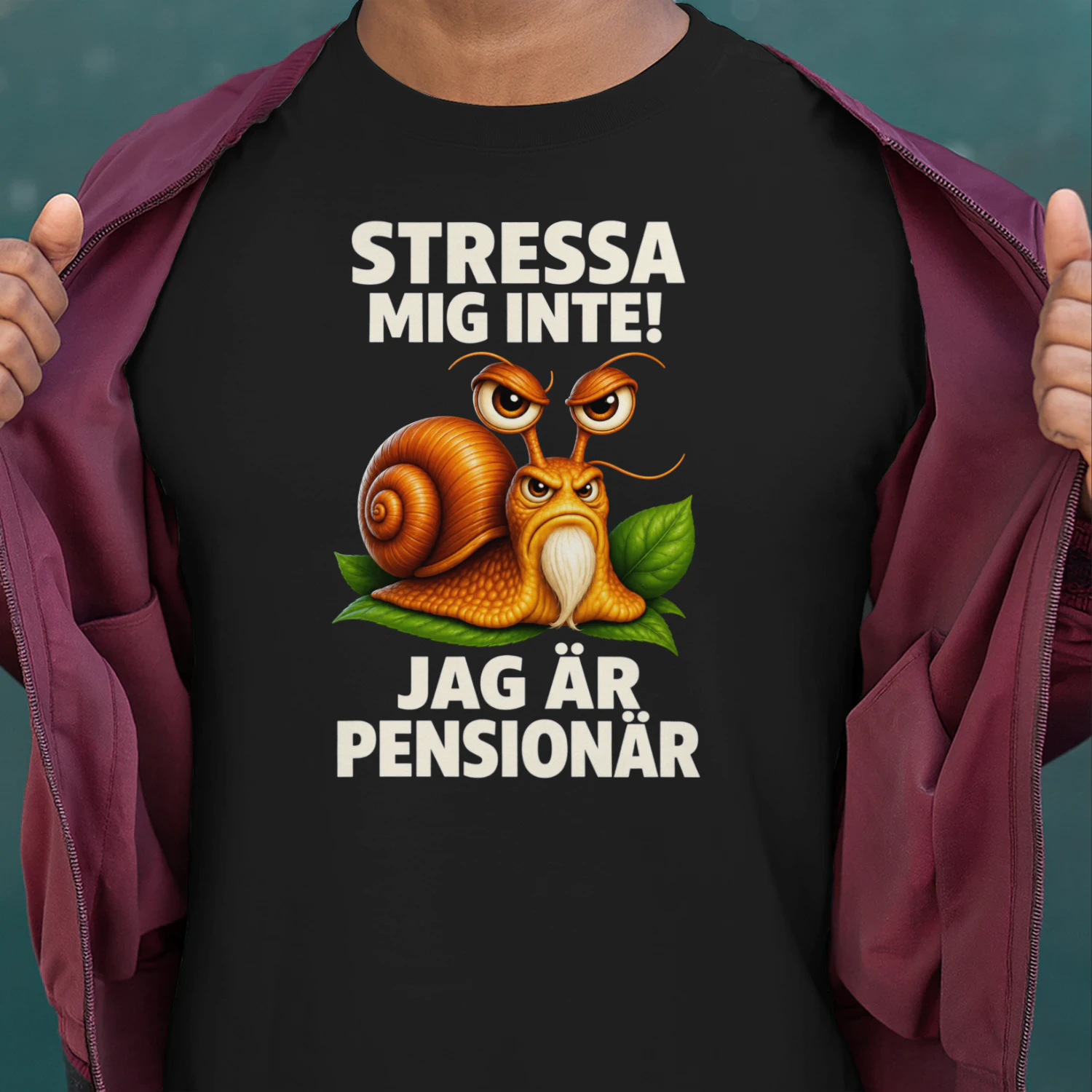 JAG ÄR PENSIONÄR