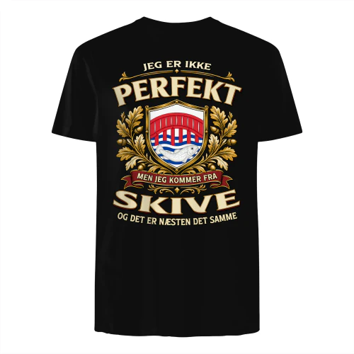 pef1m1den-SKIVE-s1