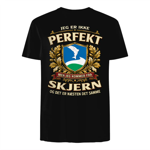 pef1m1den-SKJERN-s1