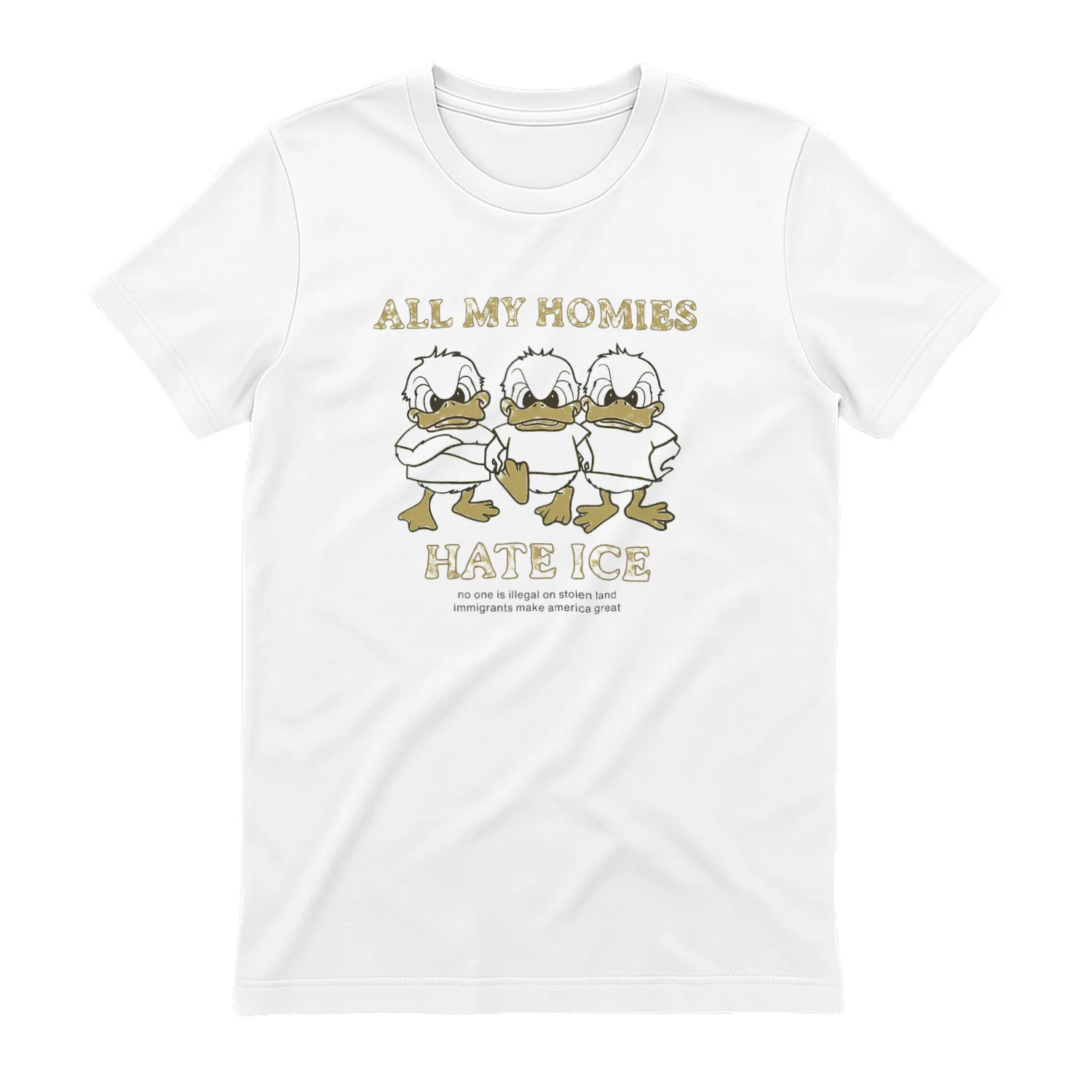 Zayn Malik All My Homies Hate ICE T-shirt  Zayn Malik Fan Design