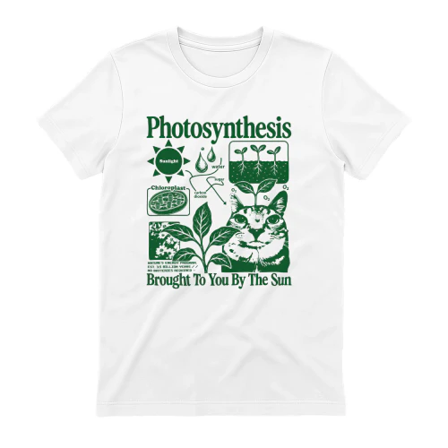 Photosynthesis Cat 