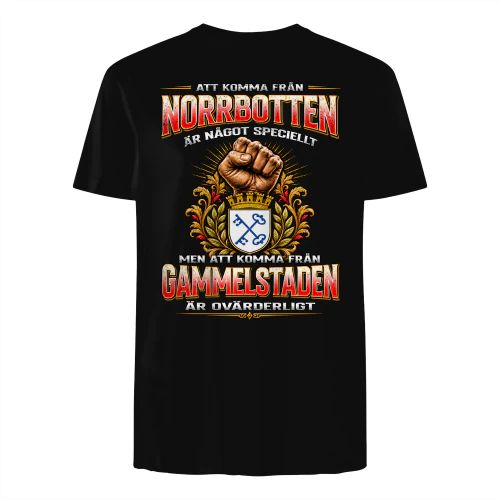 azf5m4swe-GAMMELSTADEN-s1s