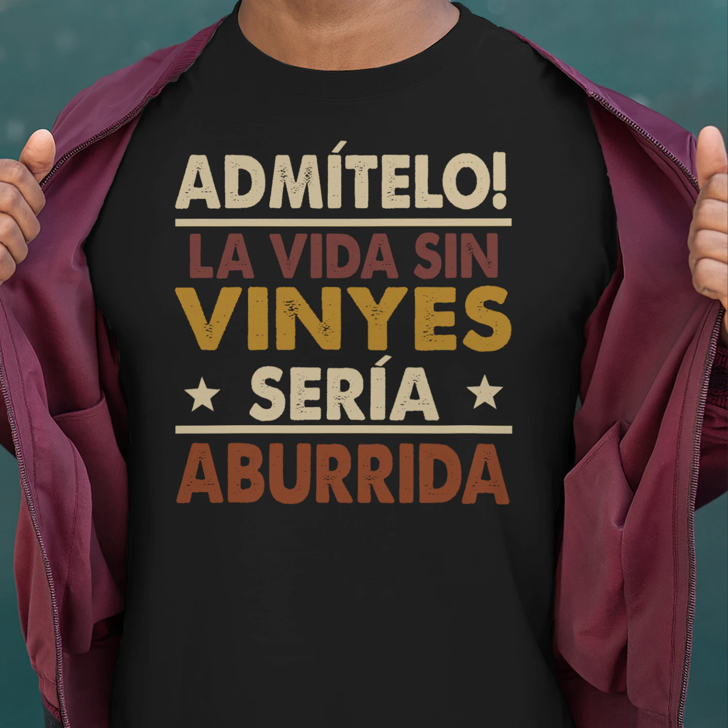 vinyes-ces101-ces4114