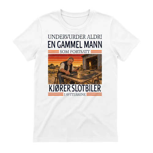never-kjorerslotbiler-70-norwegian