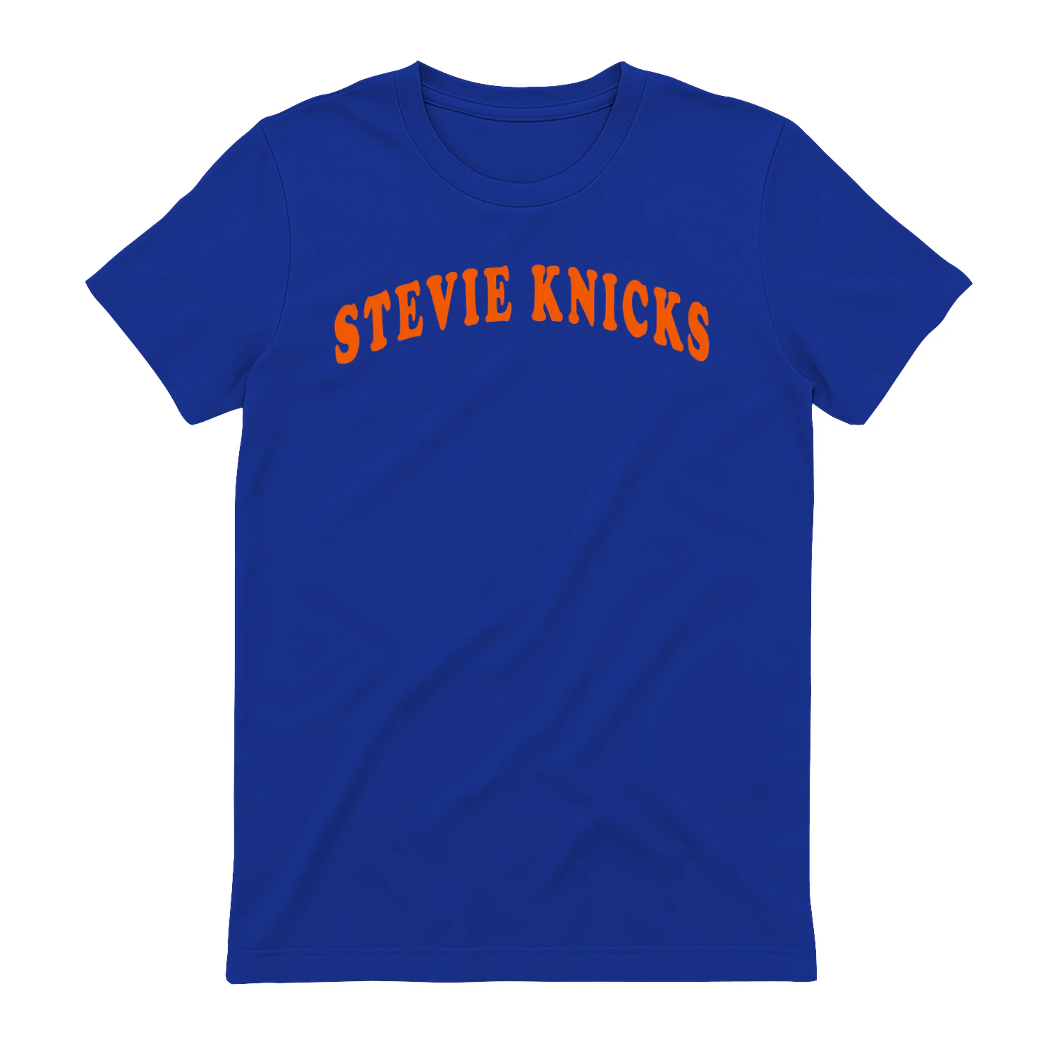 Taylor Swift Stevie Knicks Shirt