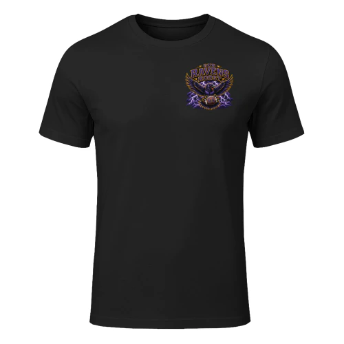 RAVENS-2-2