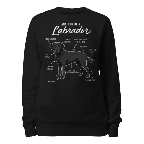 Anatomy of a Labrador