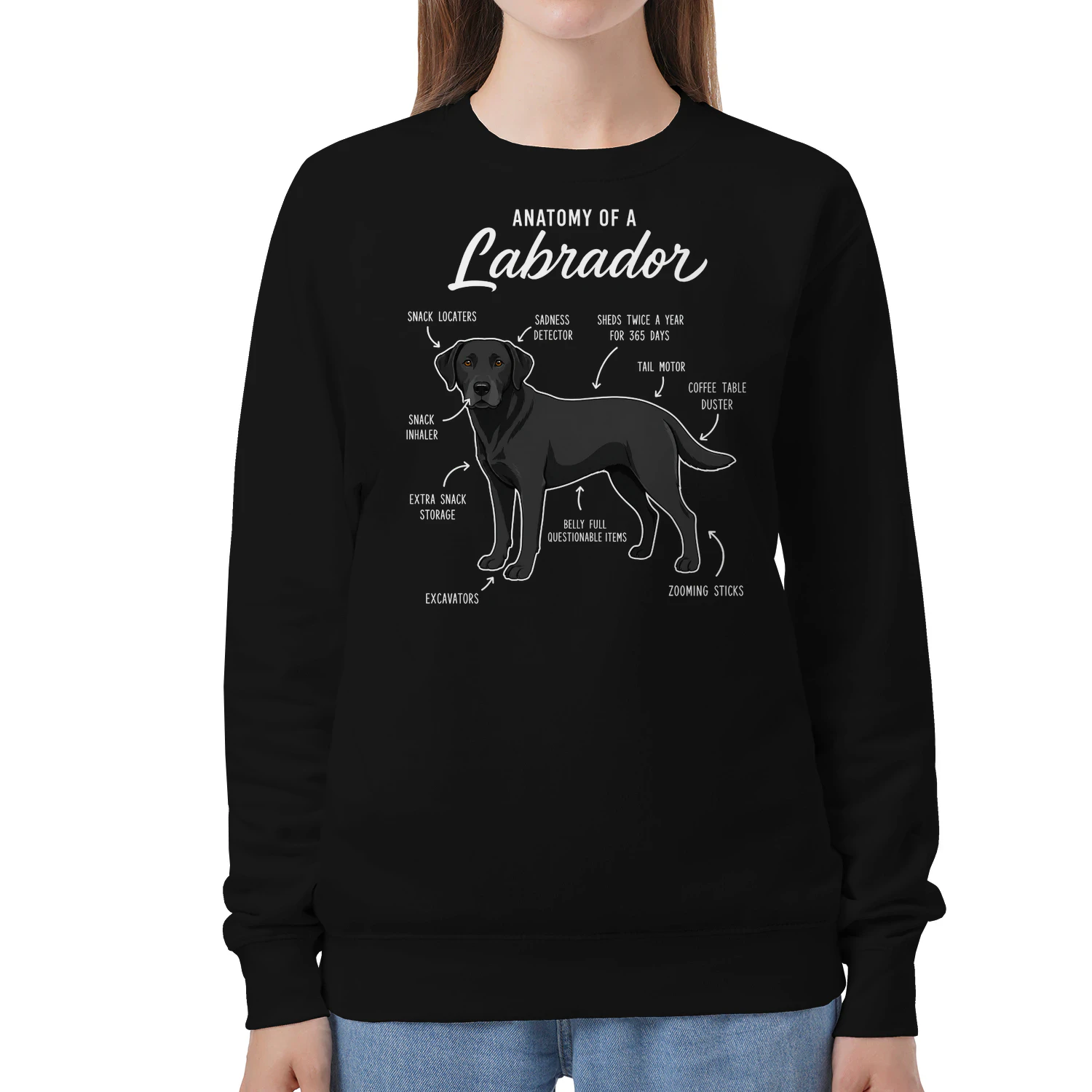 Anatomy of a Labrador