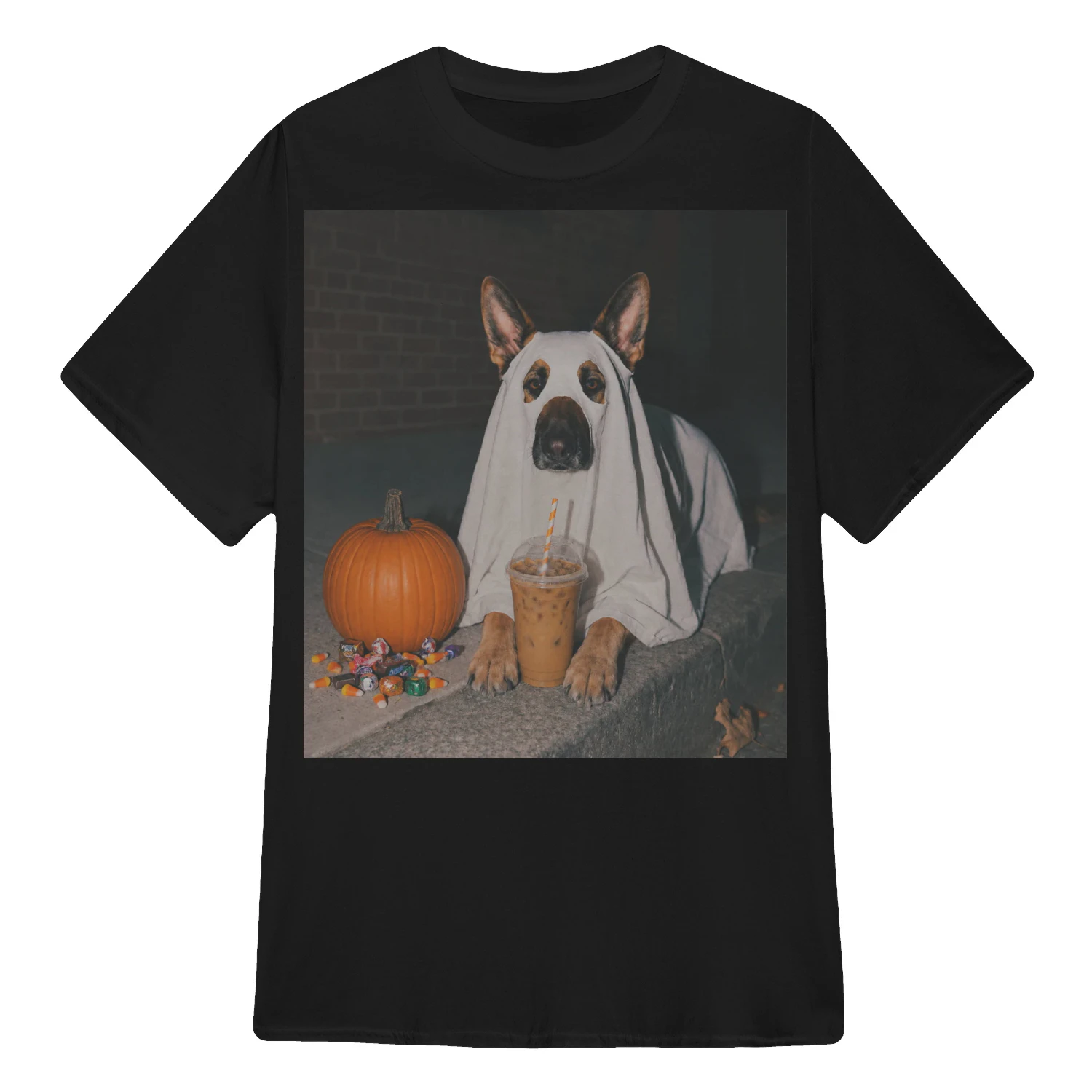 Ghostly German Shepherd’s Halloween Treats
