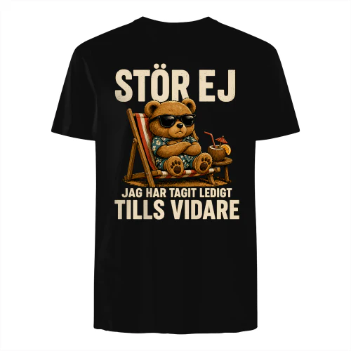 JAG HAR TAGIT LEDIGT TILLS VIDARE