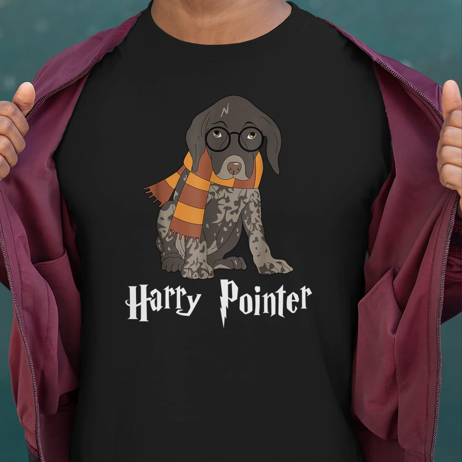 harry pointer