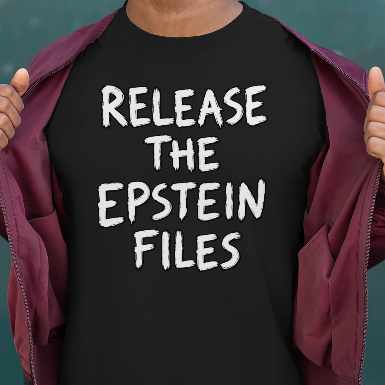 Release the epstein files