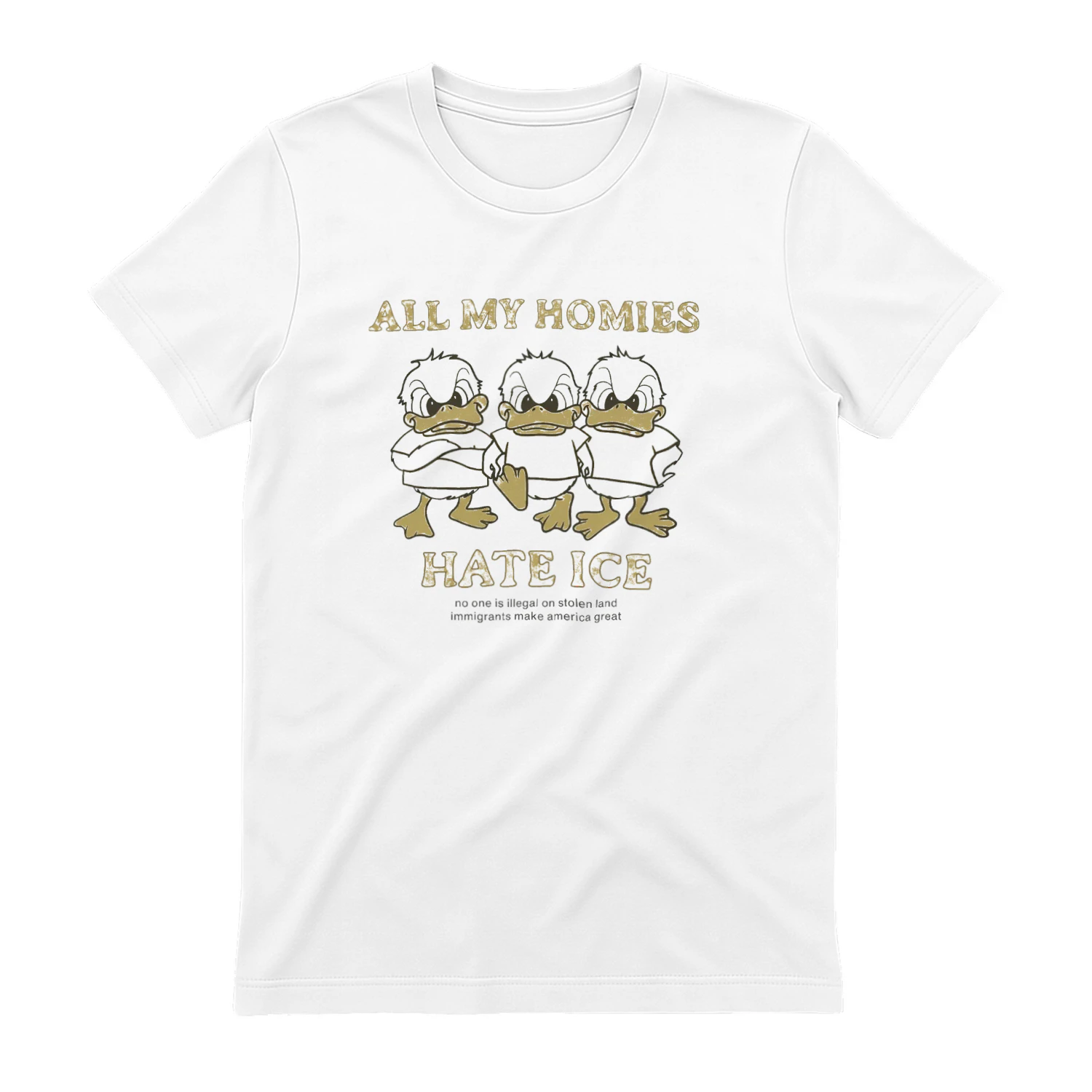 Zayn Malik All My Homies Hate ICE T-shirt  Zayn Malik Fan Design