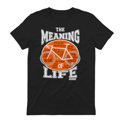 The meaning of life ride