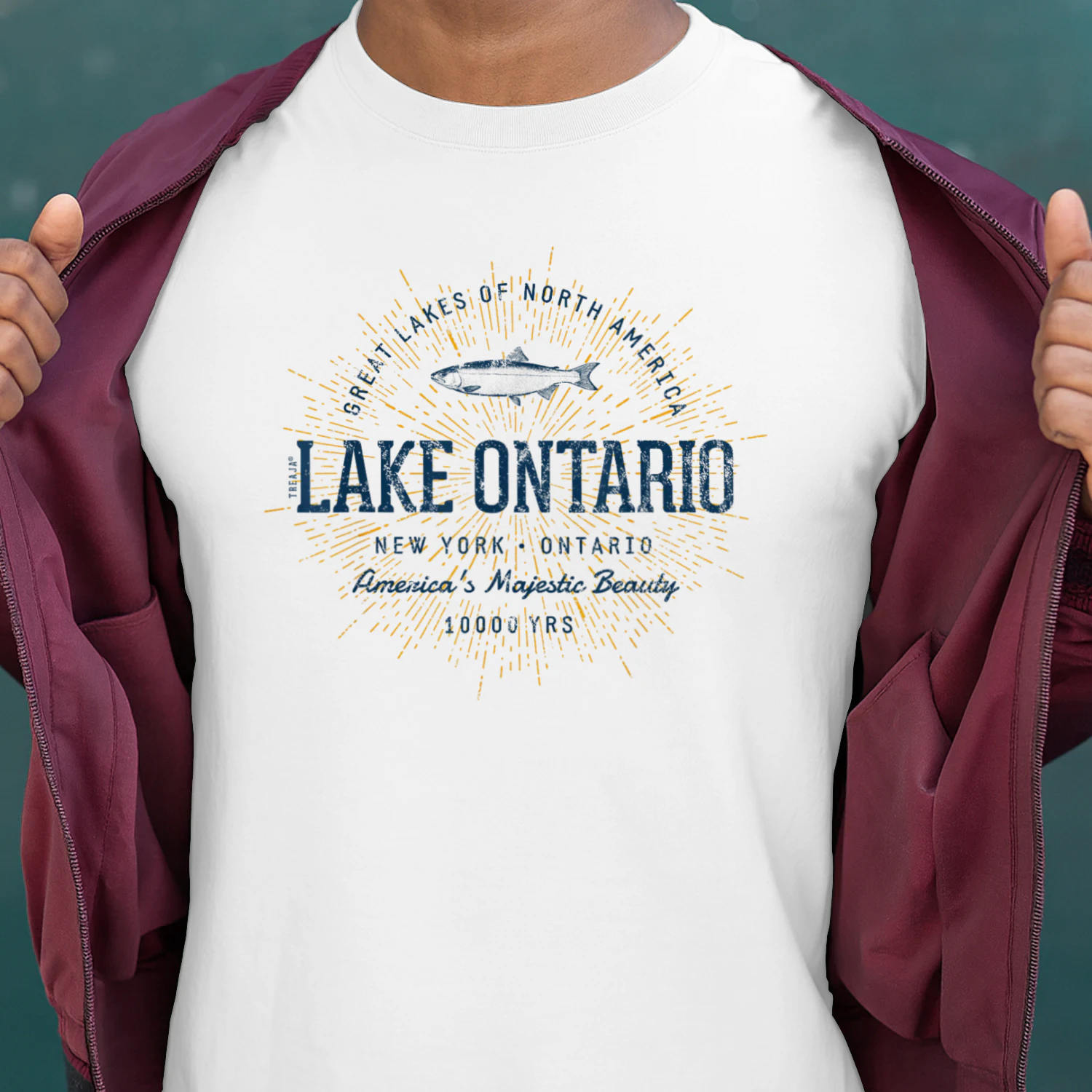Retro Style Vintage Lake Ontario Unisex T-shirt