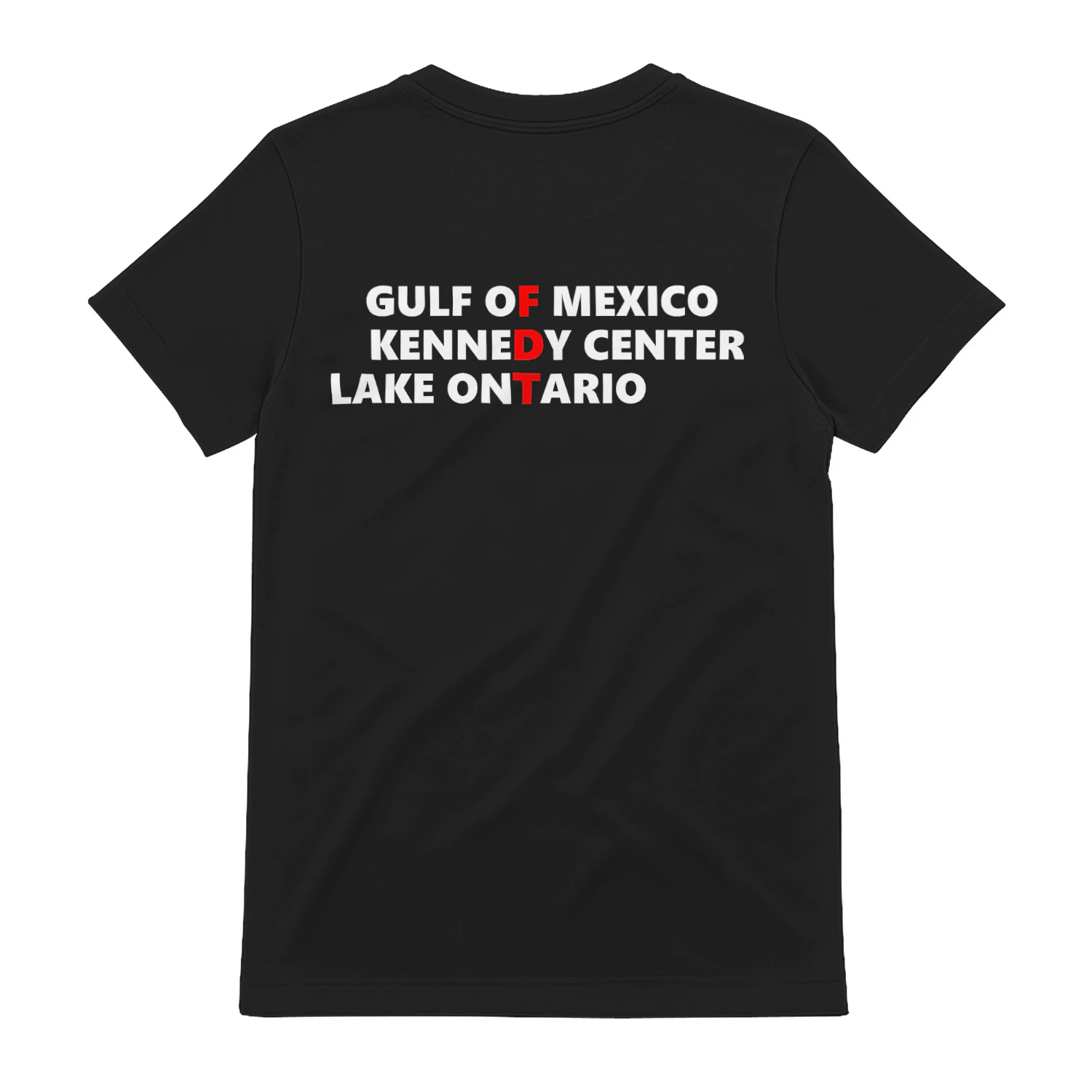 Gulf of Mexico Kennedy Center Lake Ontario Vintage Retro ( On Back )  Unisex T-shirt