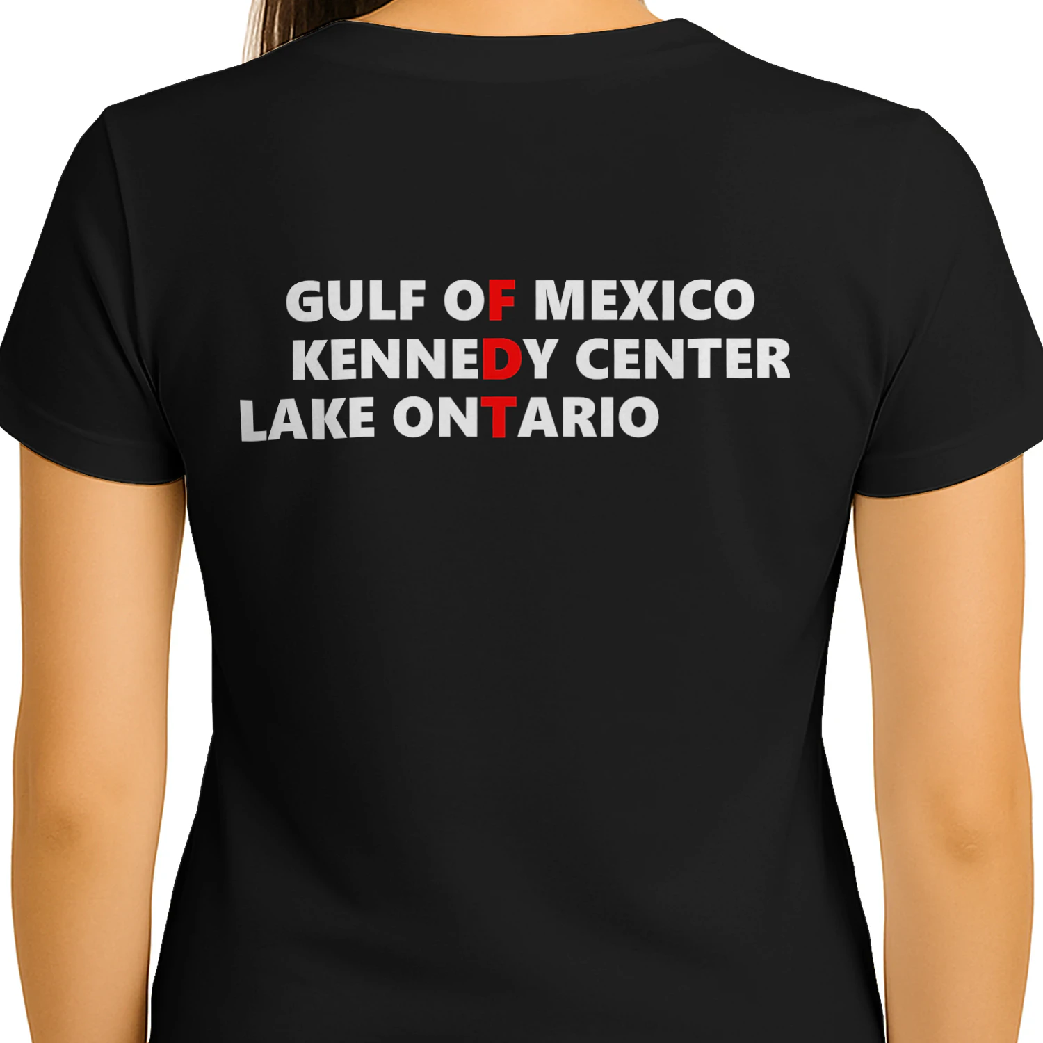 Gulf of Mexico Kennedy Center Lake Ontario Vintage Retro ( On Back )  Unisex T-shirt
