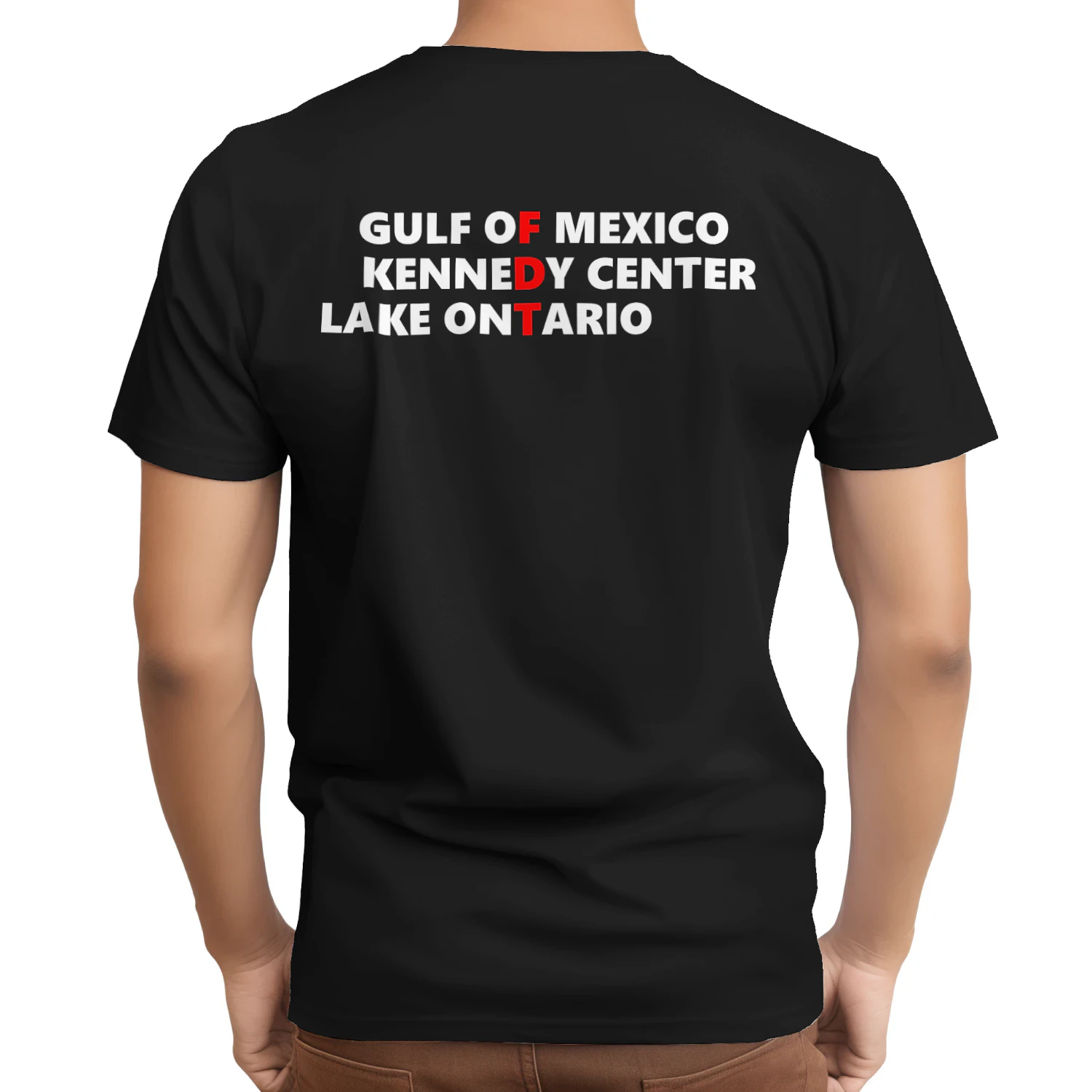Gulf of Mexico Kennedy Center Lake Ontario Vintage Retro ( On Back )  Unisex T-shirt