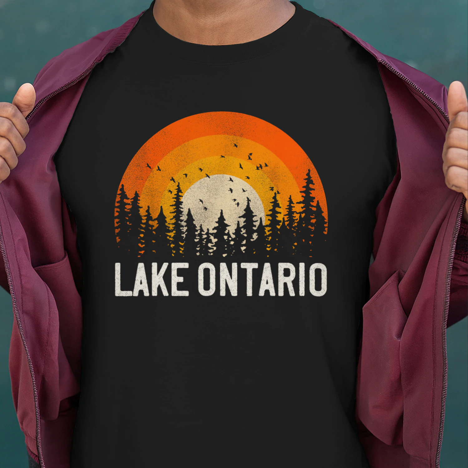 Lake Ontario - Vintage Men Women 70s 80s Graphic Cool Retro Unisex T-shirt